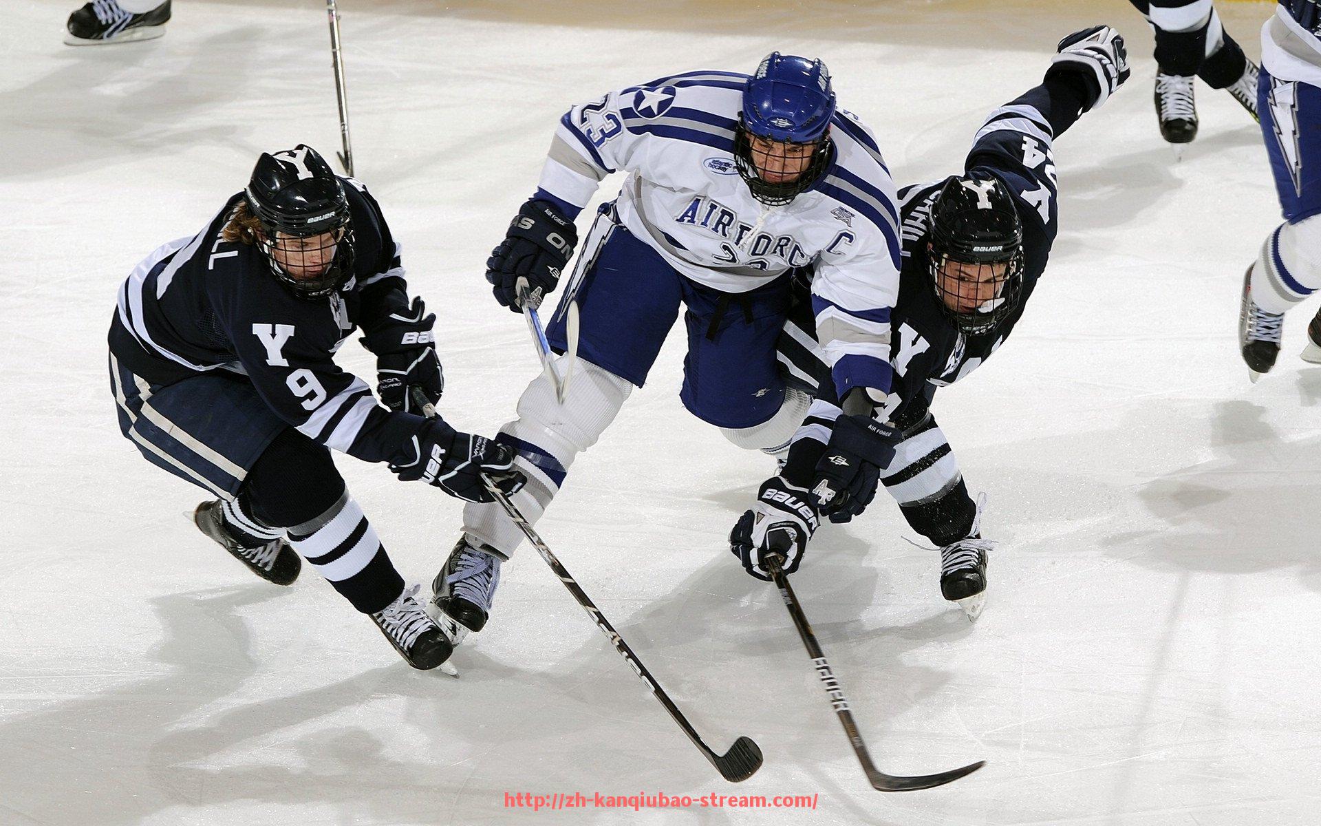 看球宝-火箭队新任主帅名单公布及其执教理念全面解读
